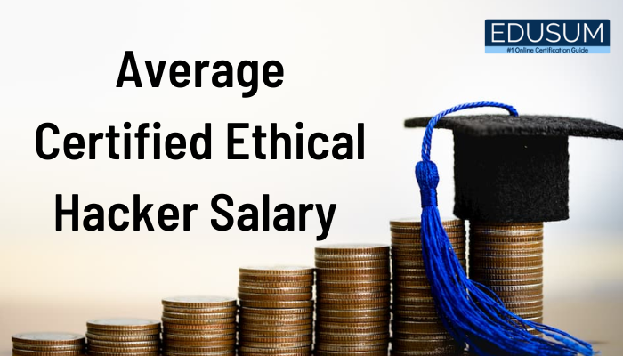 ethical hacker salary, certified ethical hacker salary, ethical hacking salary, ethical hacking exam questions and answers pdf, how much do ethical hackers make, ethical hacking exam questions
