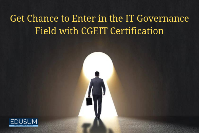It Governance And Management