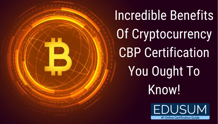 CryptoCurrency Certification Consortium Certified Bitcoin Professional (CBP), CBP Bitcoin Professional, CBP Online Test, CBP Questions, CBP Quiz, CBP, CryptoConsortium Bitcoin Professional Certification, Bitcoin Professional Practice Test, Bitcoin Professional Study Guide, CryptoConsortium CBP Question Bank, CryptoConsortium Certification, Bitcoin Professional Certification Mock Test, C4 CBP Simulator, C4 CBP Mock Exam, CryptoConsortium C4 CBP Questions, C4 CBP, CryptoConsortium C4 CBP Practice Test