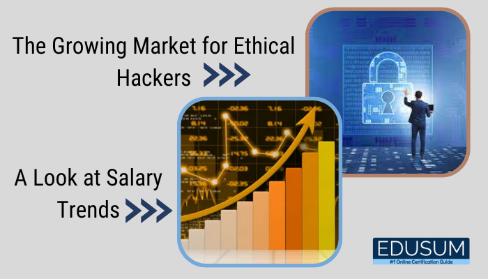 Ethical Hacking Salary, Certified Ethical Hacker Salary, Ethical Hacking Exam Questions And Answers Pdf, Certified Ethical Hacker Exam Questions Pdf, Certified Ethical Hacker Syllabus, Ethical Hacking Salary Per Month, CEH Certification Syllabus, CEH Exam Dumps, CEH Exam Pattern, CEH Exam Questions, CEH Exam Questions And Answers Pdf, CEH Exam Syllabus, CEH Exam Topics, CEH Example Questions, CEH Passing Score, CEH Passing Score V11, CEH Practice Exam, CEH Question Bank, CEH Questions, CEH Questions And Answers Pdf, CEH Salary, CEH Sample Questions, CEH Syllabus, CEH Test Questions, CEH V11 Exam Questions, CEH V11 Mock Test, CEH V11 Syllabus