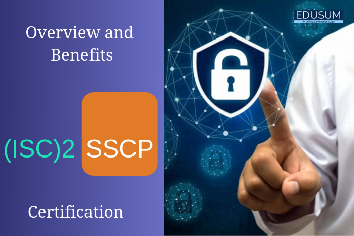 ISC2 Certification, ISC2 Systems Security Certified Practitioner (SSCP), SSCP, SSCP Online Test, SSCP Questions, SSCP Quiz, SSCP Certification Mock Test, ISC2 SSCP Certification, SSCP Practice Test, SSCP Study Guide, ISC2 SSCP Question Bank, ISC2 SSCP Questions, ISC2 SSCP Practice Test, SSCP mock exam, SSCP Simulator, SSCP exam questions, SSCP practice questions, SSCP practice exam, SSCP questions, SSCP test questions, SSCP syllabus, SSCP vs CISSP, SSCP course, SSCP price, SSCP salary, SSCP certification cost, SSCP certification salary, SSCP certification requirements, SSCP certification training