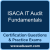 ISACA IT Audit Fundamentals