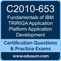 C2010-653: Fundamentals of IBM TRIRIGA Application Platform V3.2.1 Application D